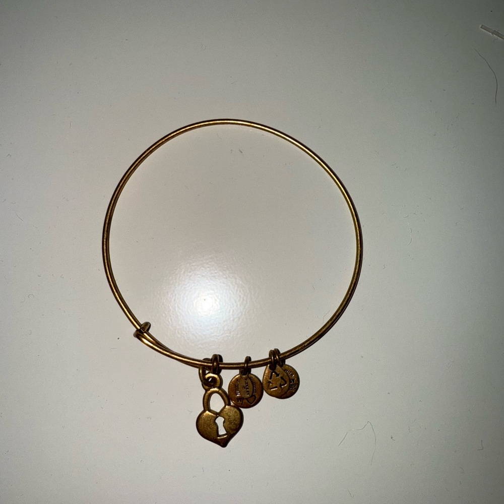 Alex and Ani Gold locket Charm bangle Bracelet